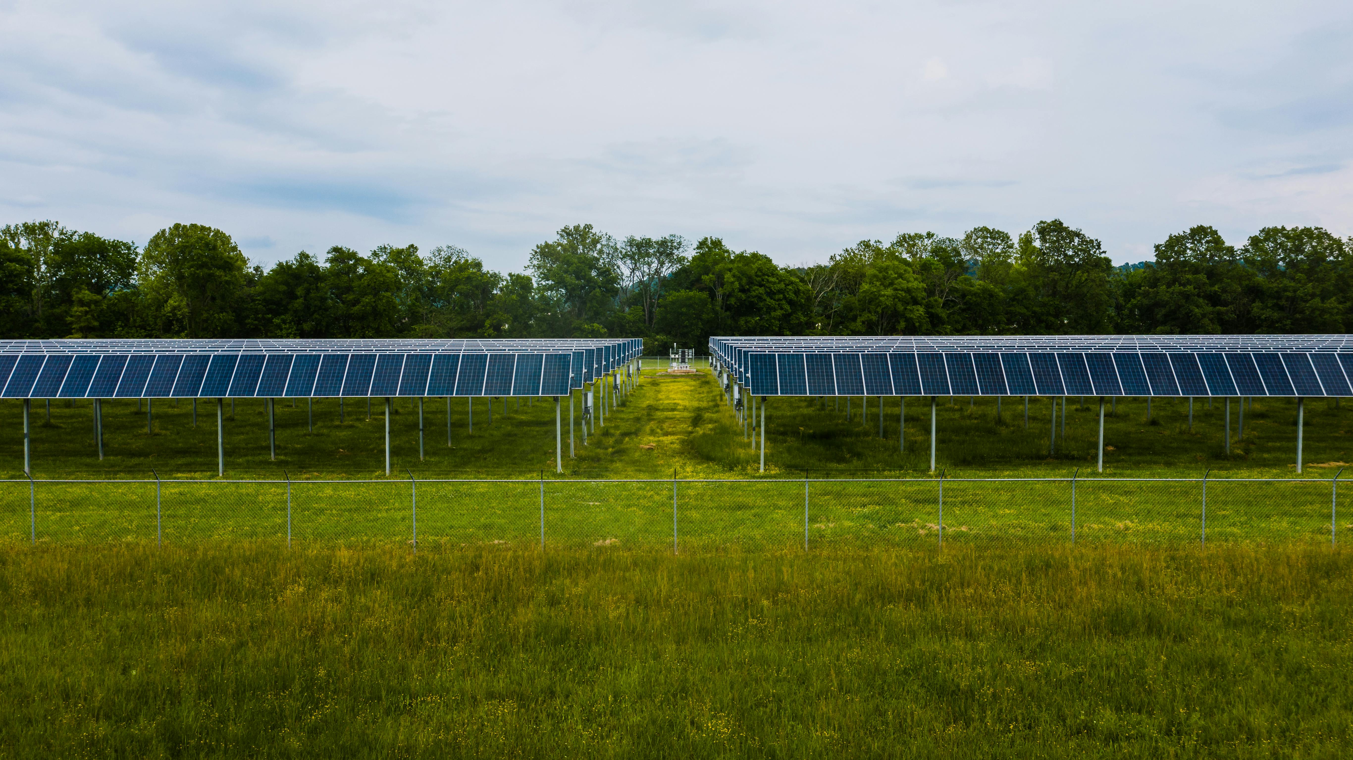Solarpark in grüner Landschaft